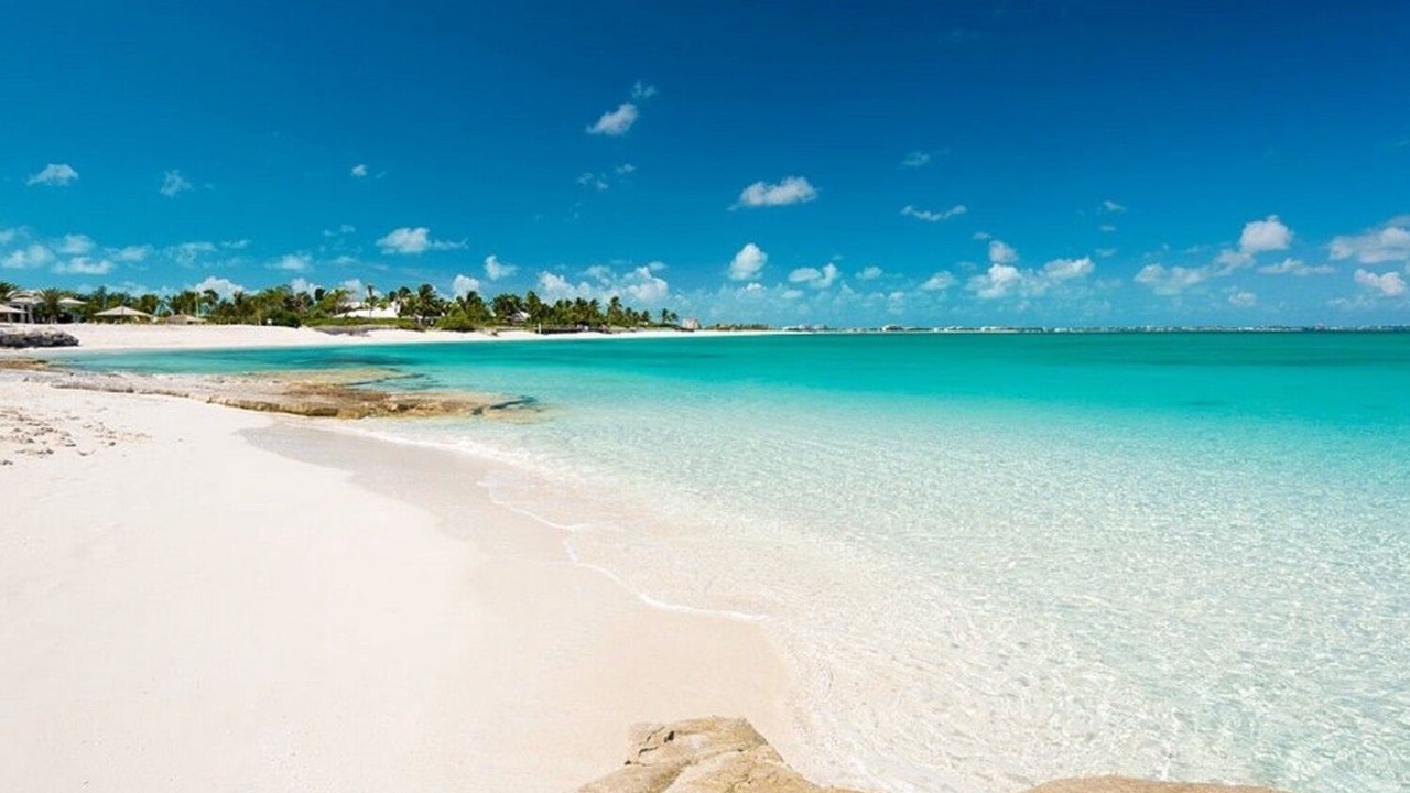 Photo of Others in The Bight