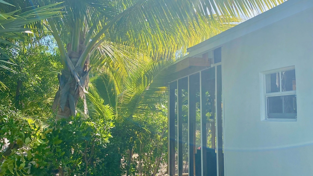 Photo of Outdoor in The Bight