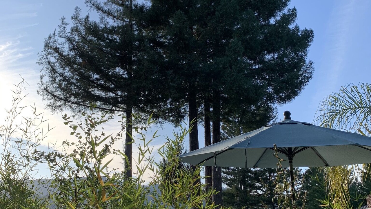 Photo of Outdoor in Ben Lomond