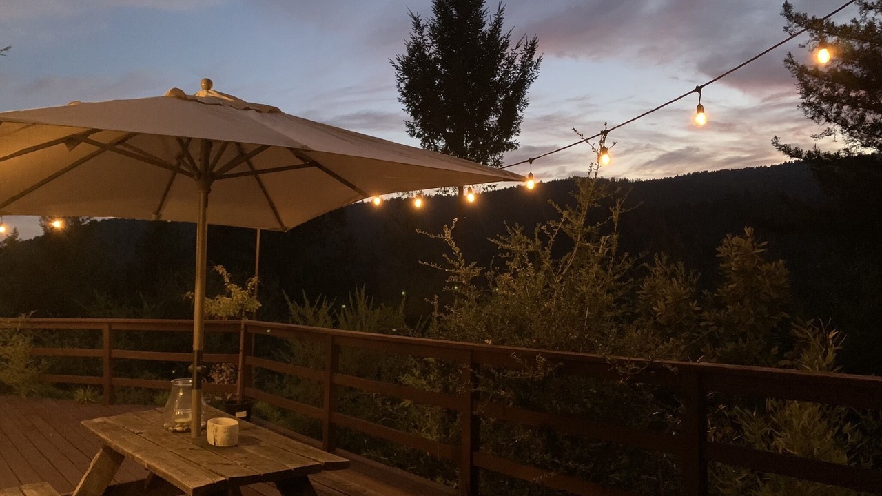 Photo of Outdoor in Ben Lomond