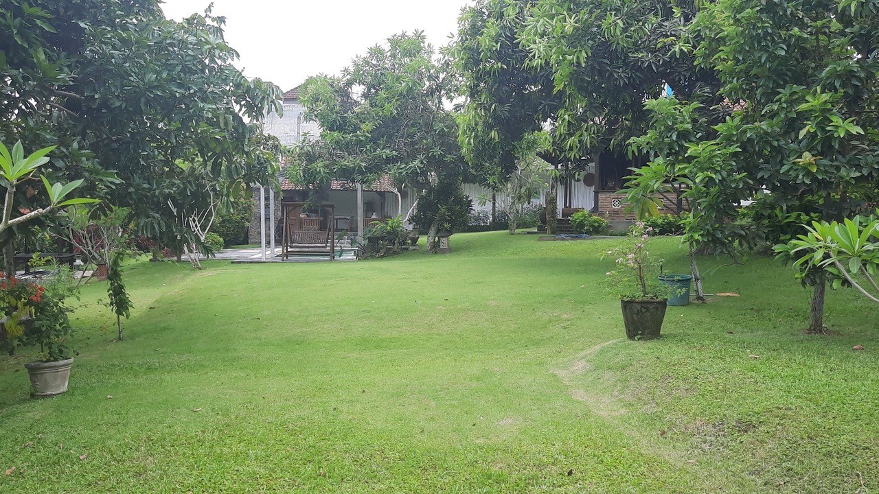 Photo of Outdoor in Dalung