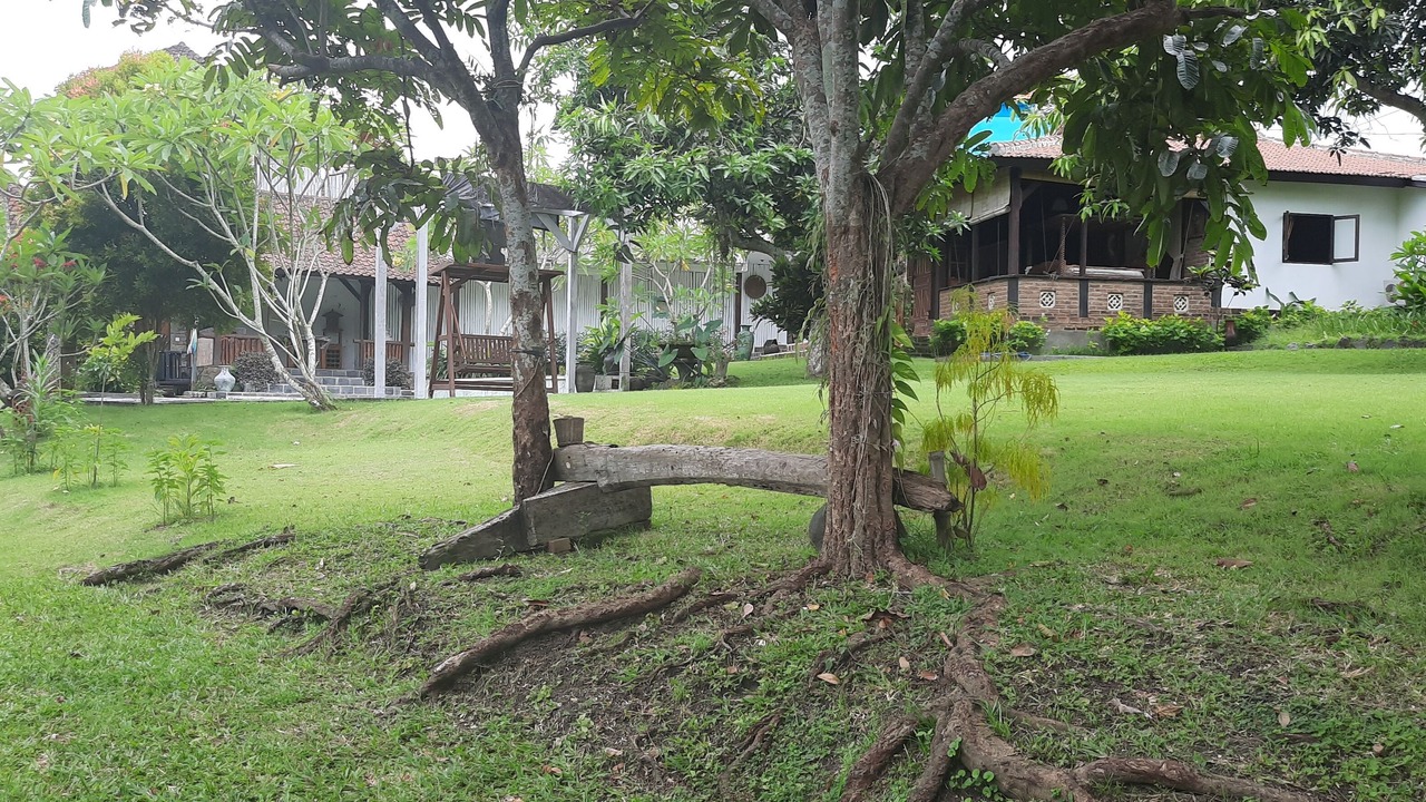 Photo of Outdoor in Dalung