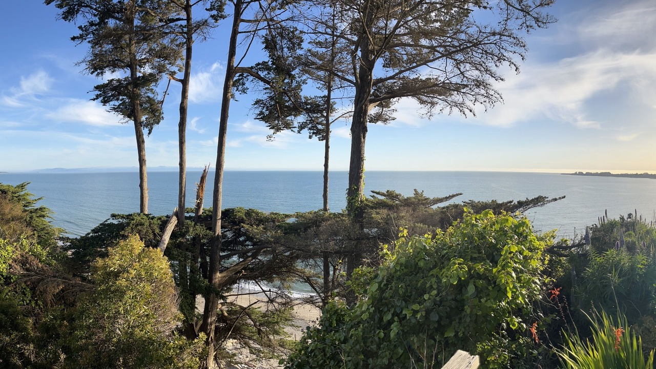Photo of Others in Aptos