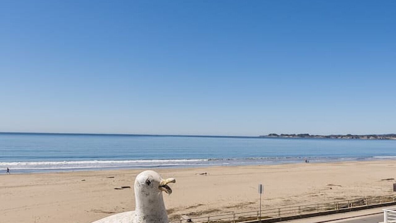 Photo of Others in Rio del Mar