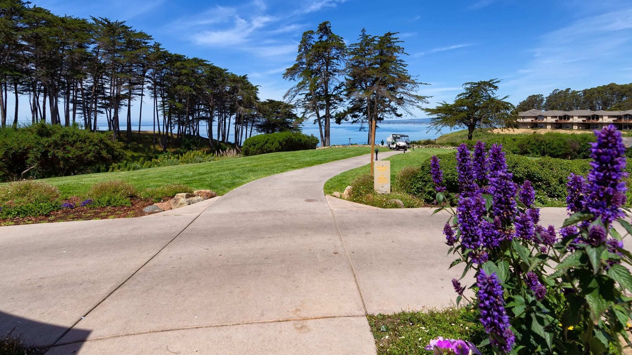 Photo of Outdoor in Rio del Mar