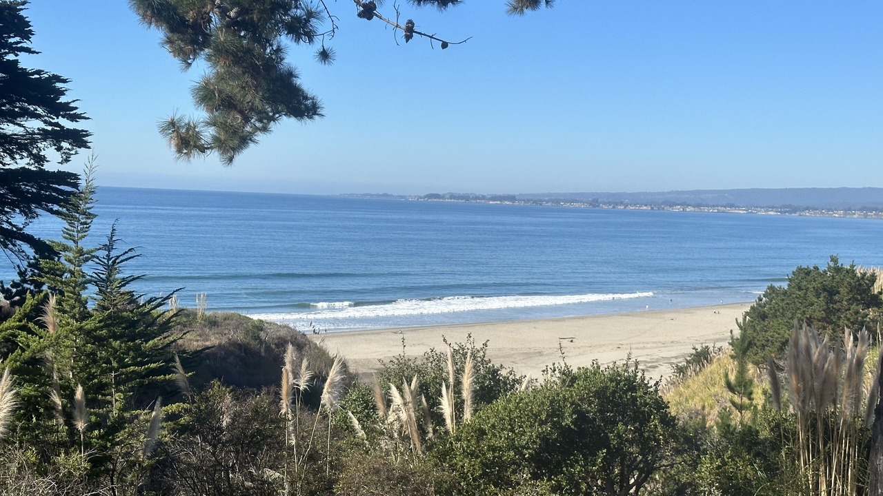 Photo of Others in Rio del Mar