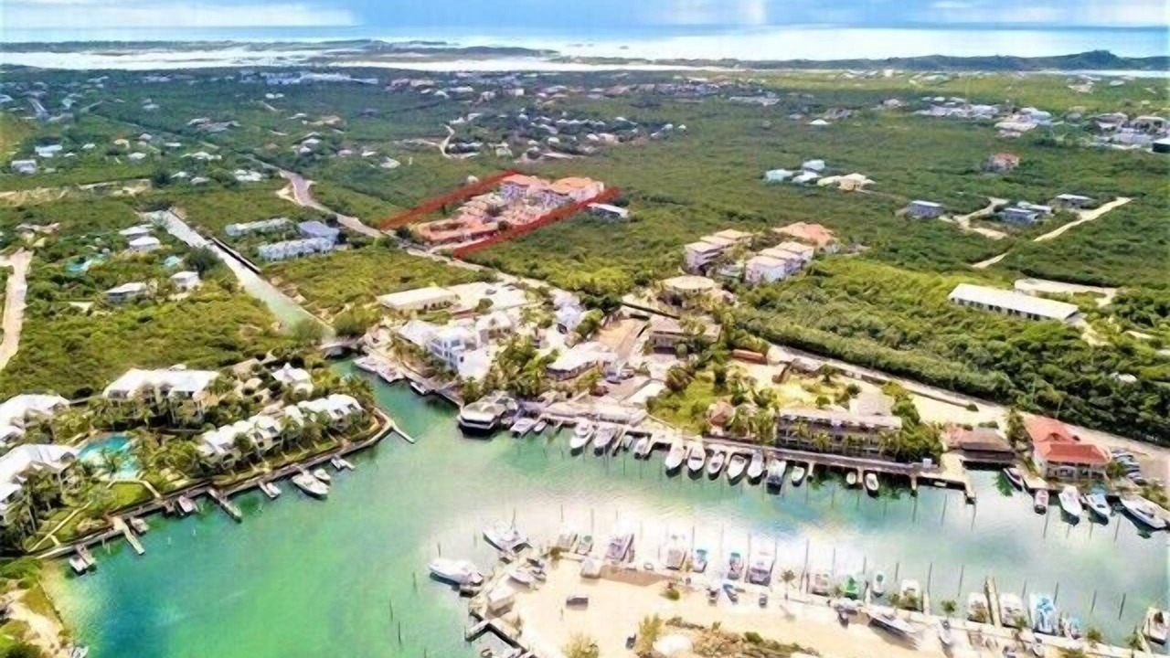 Photo of Others in The Bight