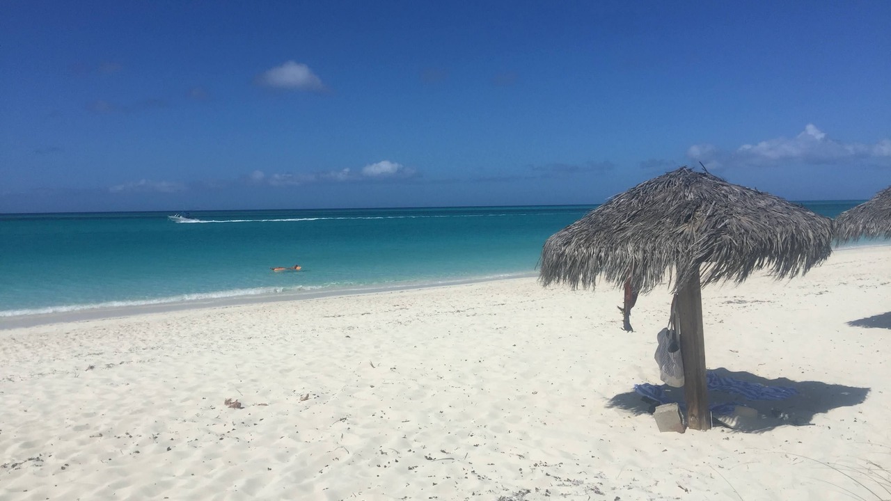 Photo of Others in The Bight