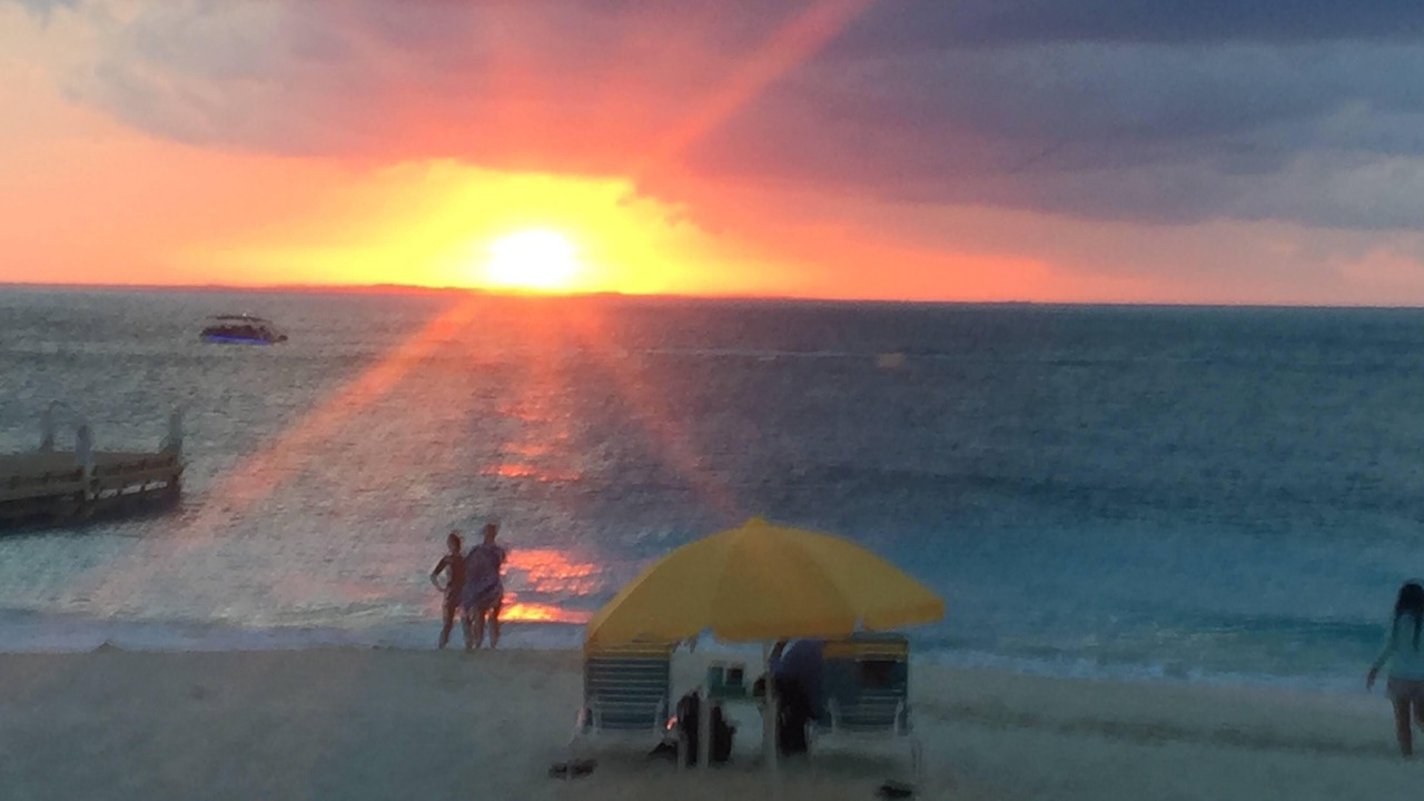 Photo of Others in The Bight