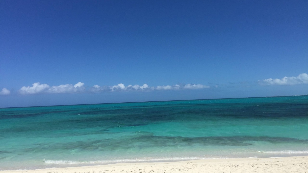 Photo of Others in The Bight