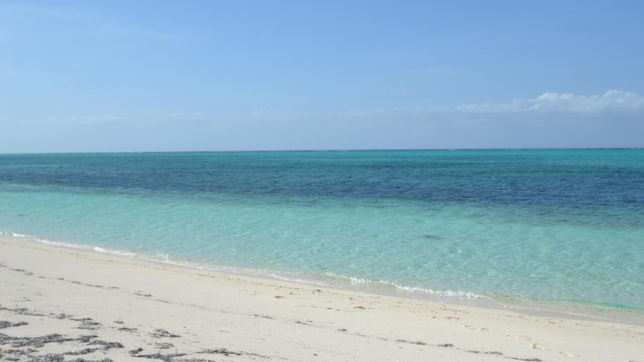 Photo of Others in The Bight