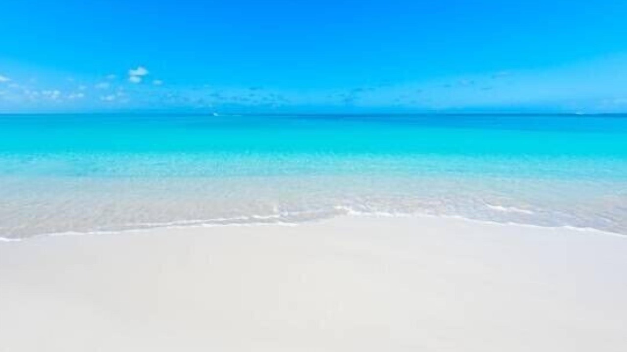 Photo of Others in The Bight