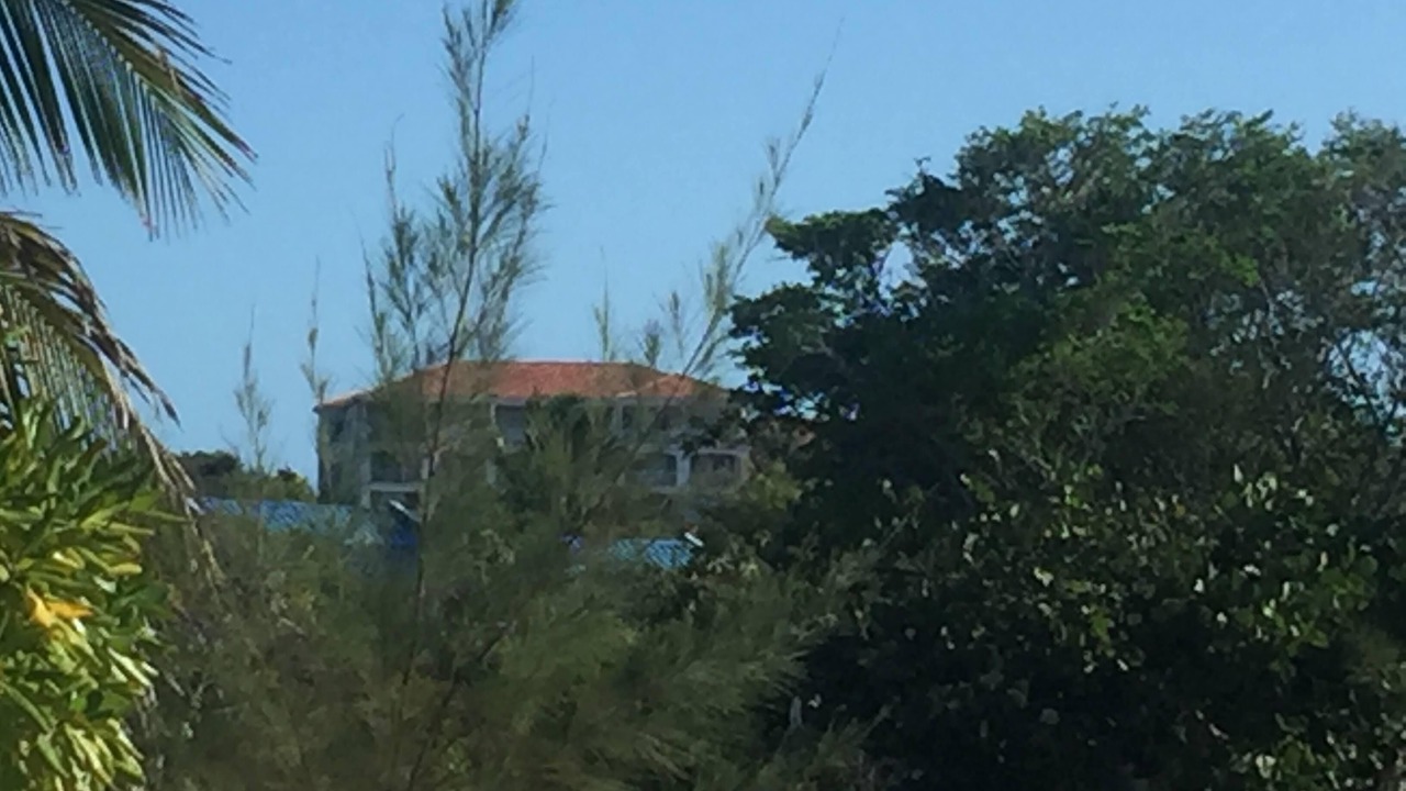 Photo of Outdoor in The Bight
