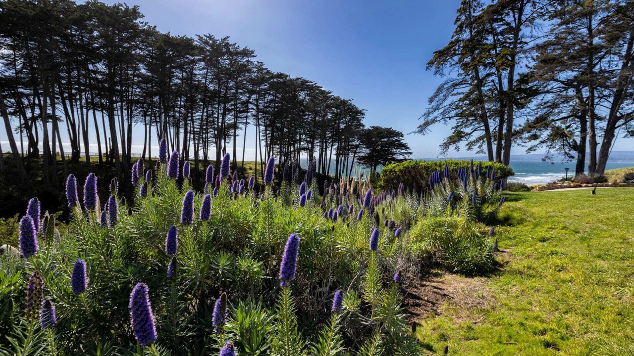 Photo of Outdoor in Rio del Mar