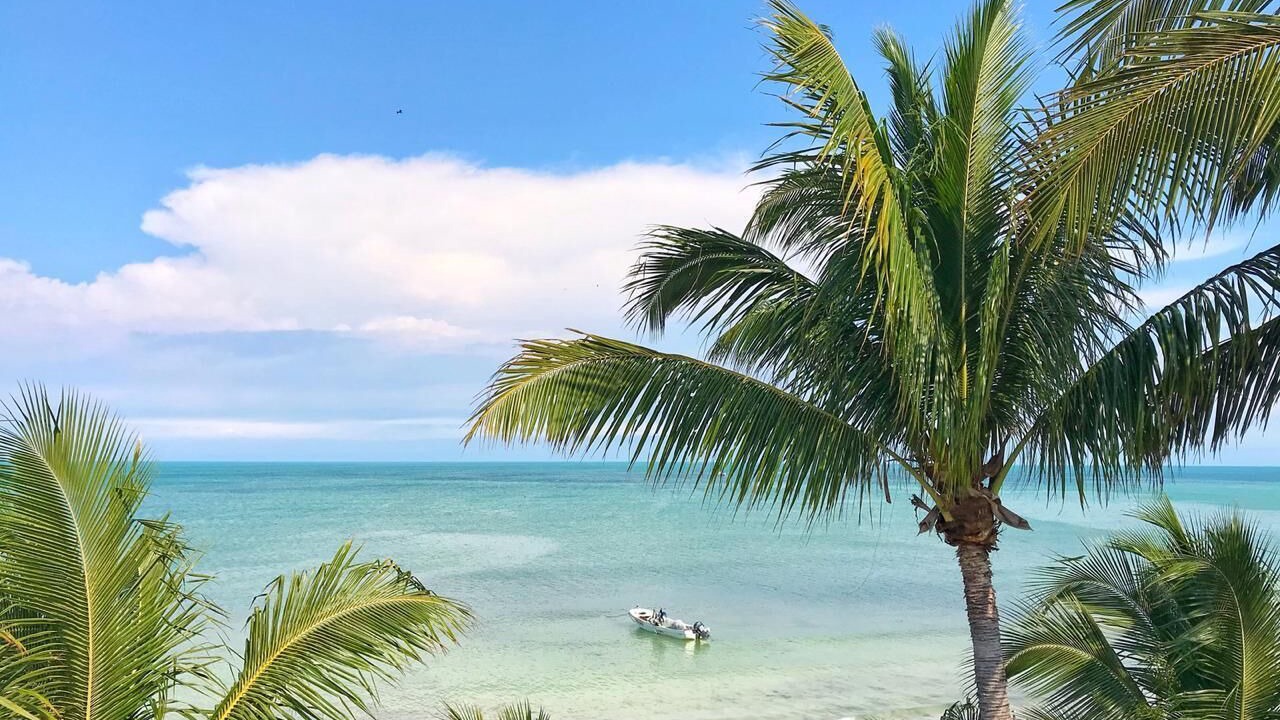 Photo of Others in Isla Holbox