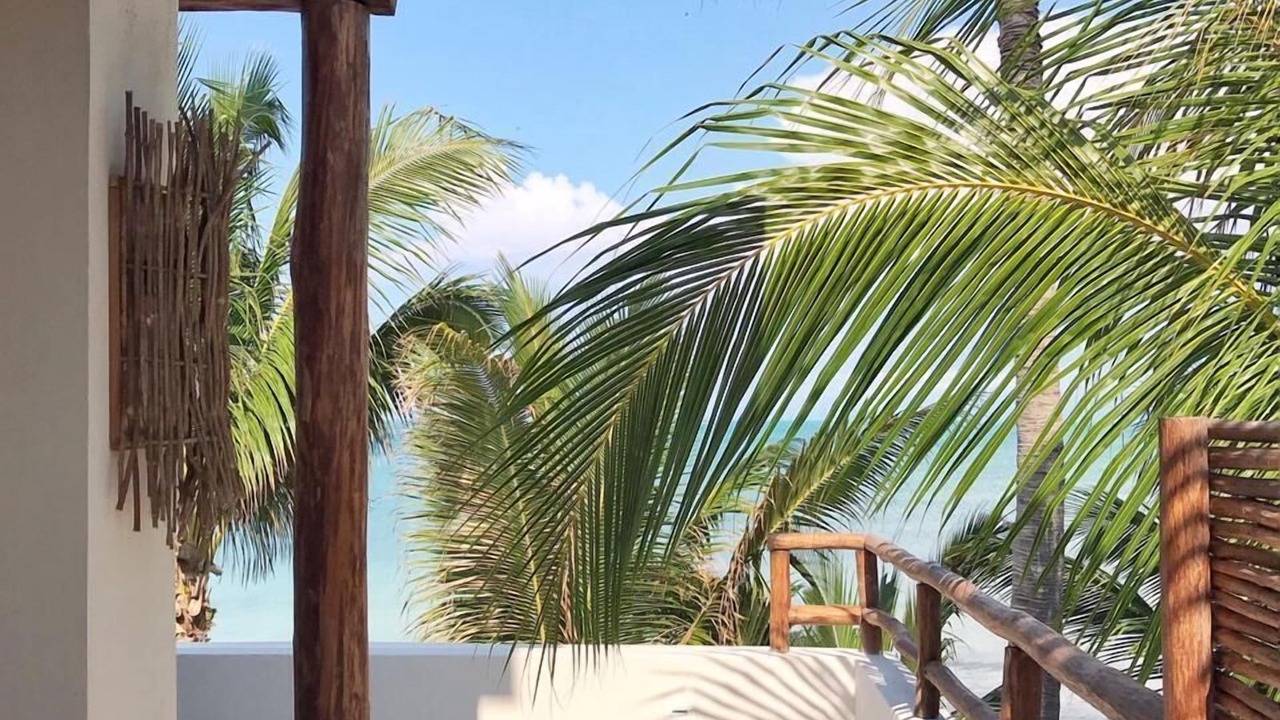 Photo of Outdoor in Isla Holbox