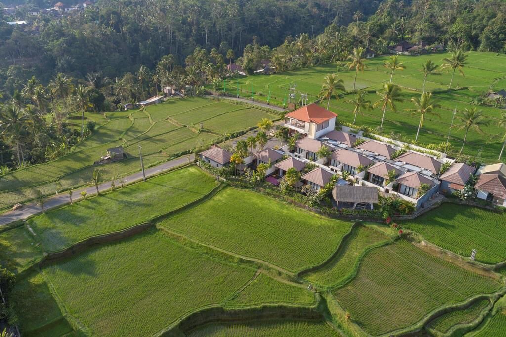 Photo of Outdoor in Kenderan