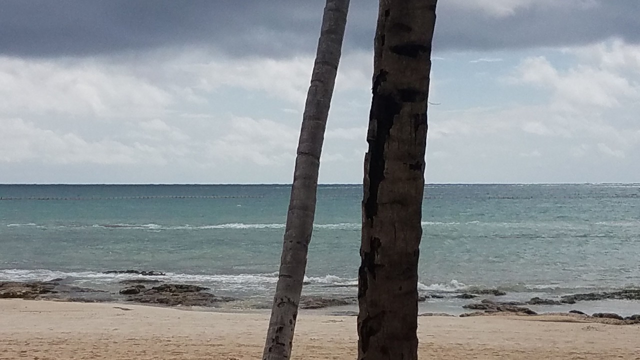 Photo of Outdoor in Villa Juarez