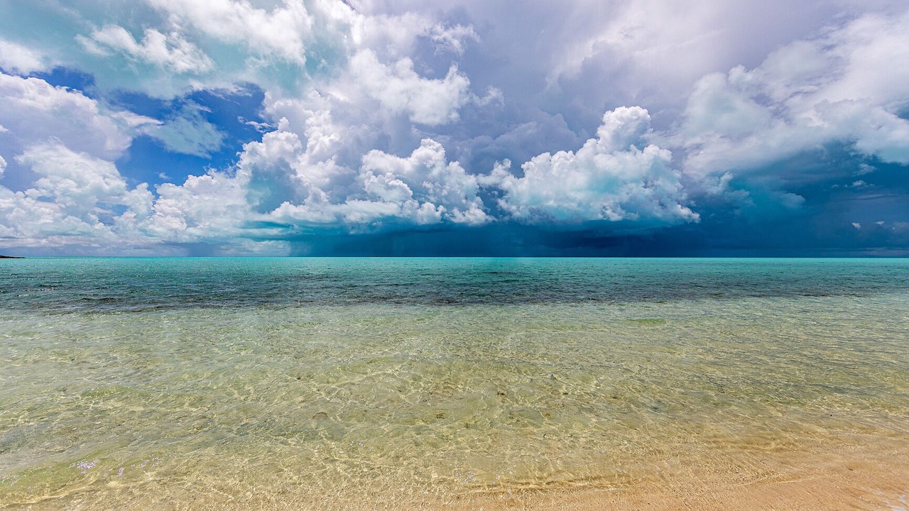 Photo of Others in Long Bay