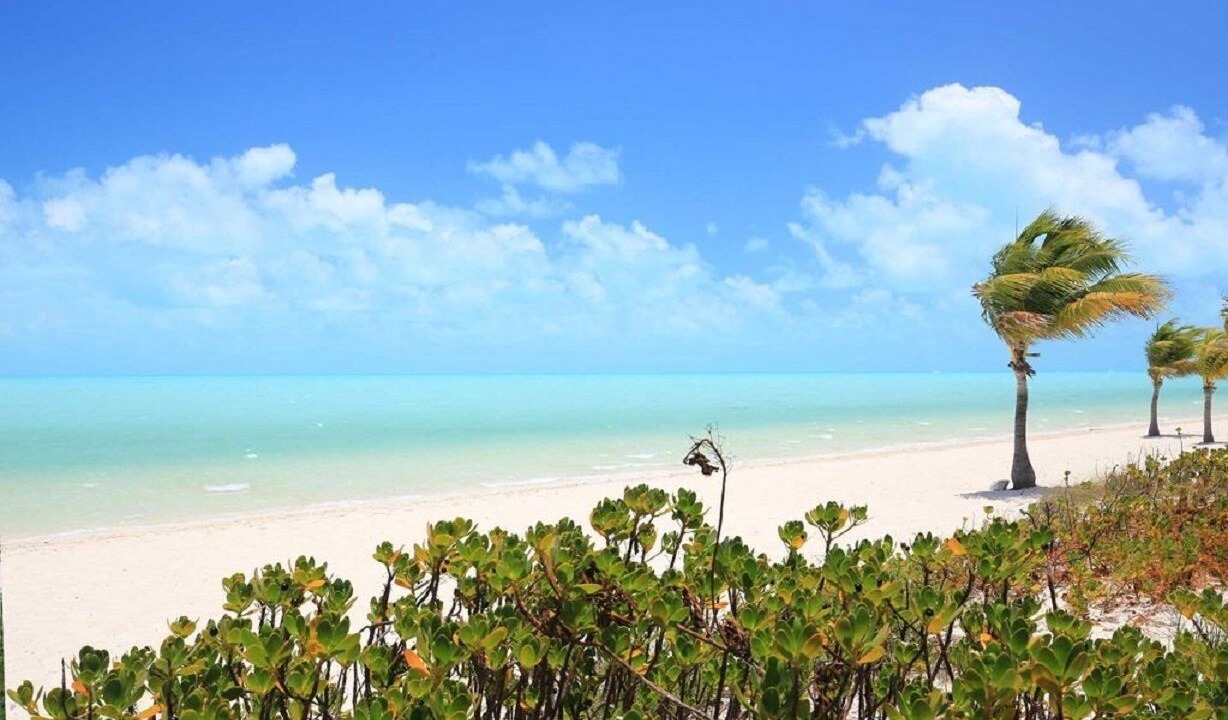 Photo of Others in Long Bay