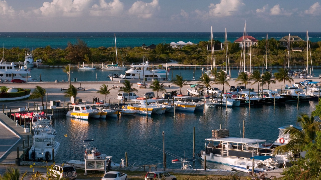 Photo of Others in The Bight