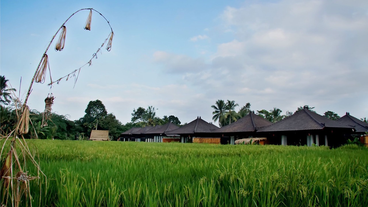Photo of Outdoor in Kenderan