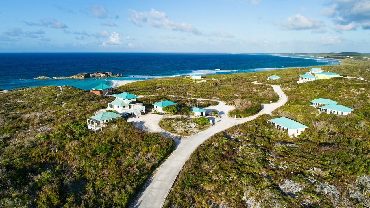 Photo of Others in Conch Bar