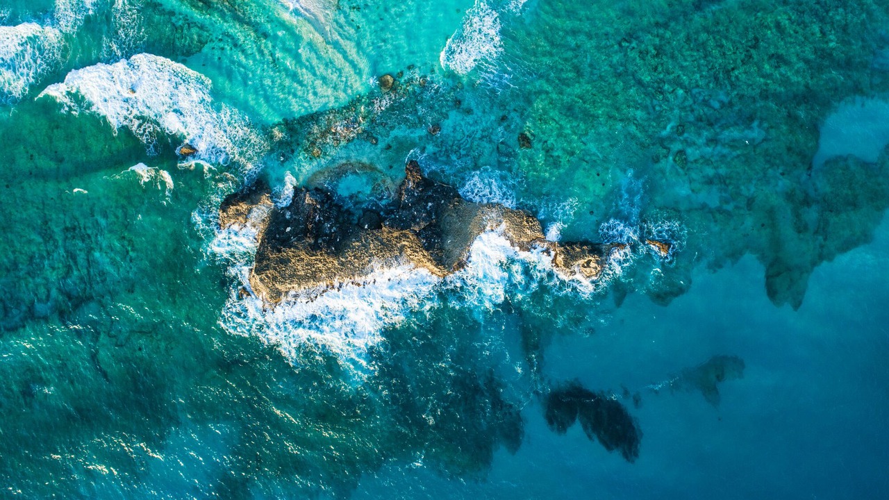 Photo of Others in Conch Bar