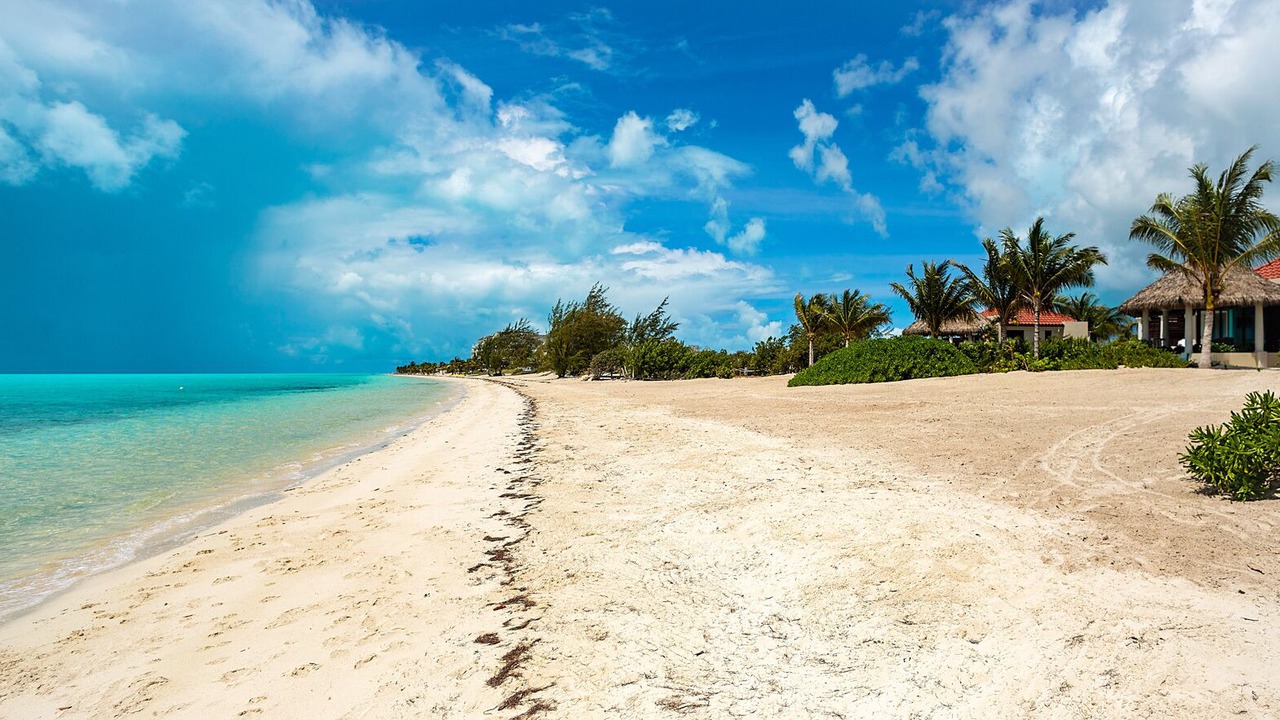 Photo of Others in Long Bay