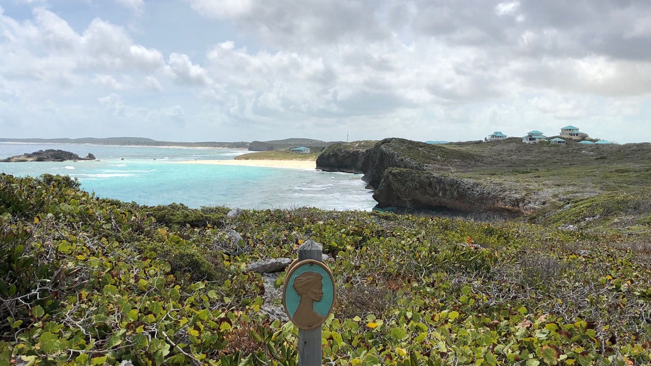 Photo of Others in Conch Bar