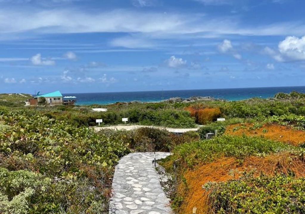 Photo of Outdoor in Conch Bar