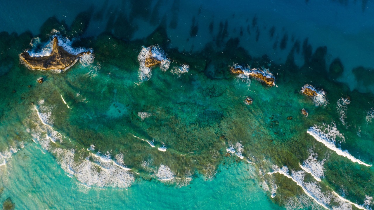 Photo of Outdoor in Conch Bar