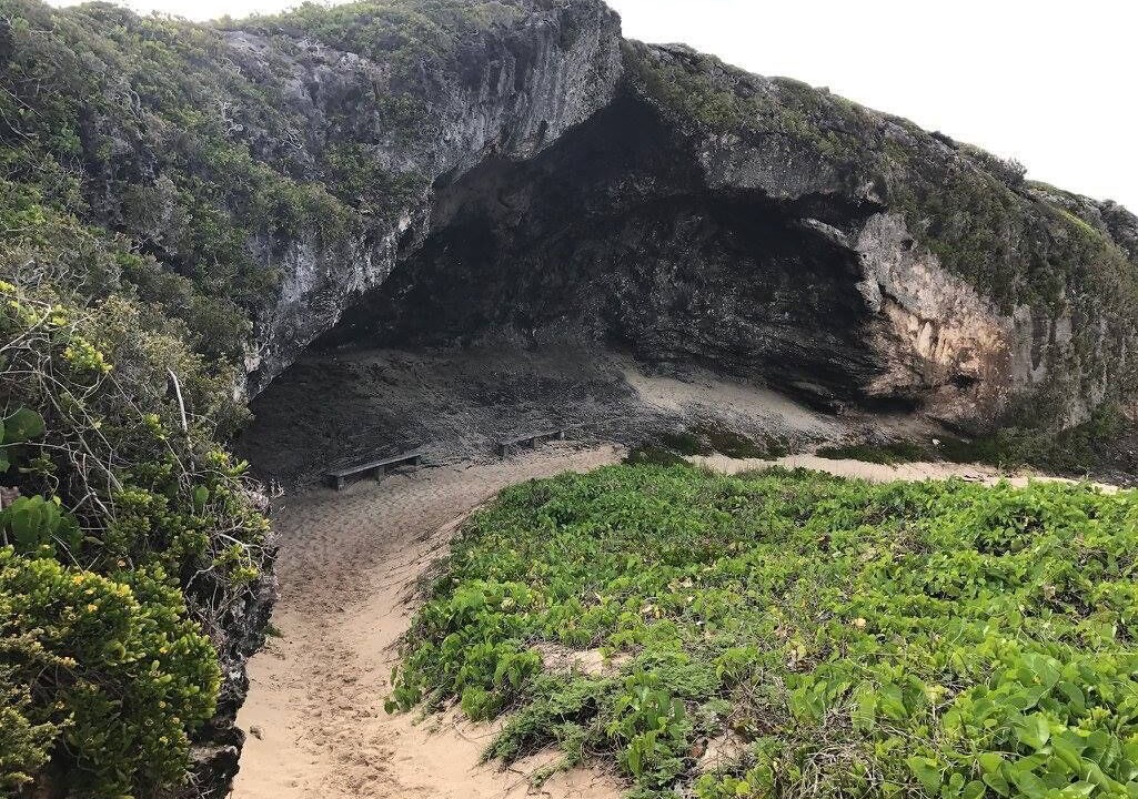 Photo of Others in Conch Bar