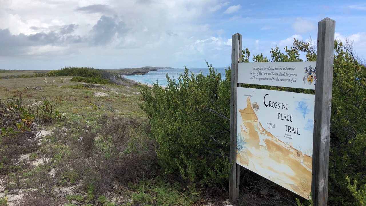 Photo of Outdoor in Conch Bar