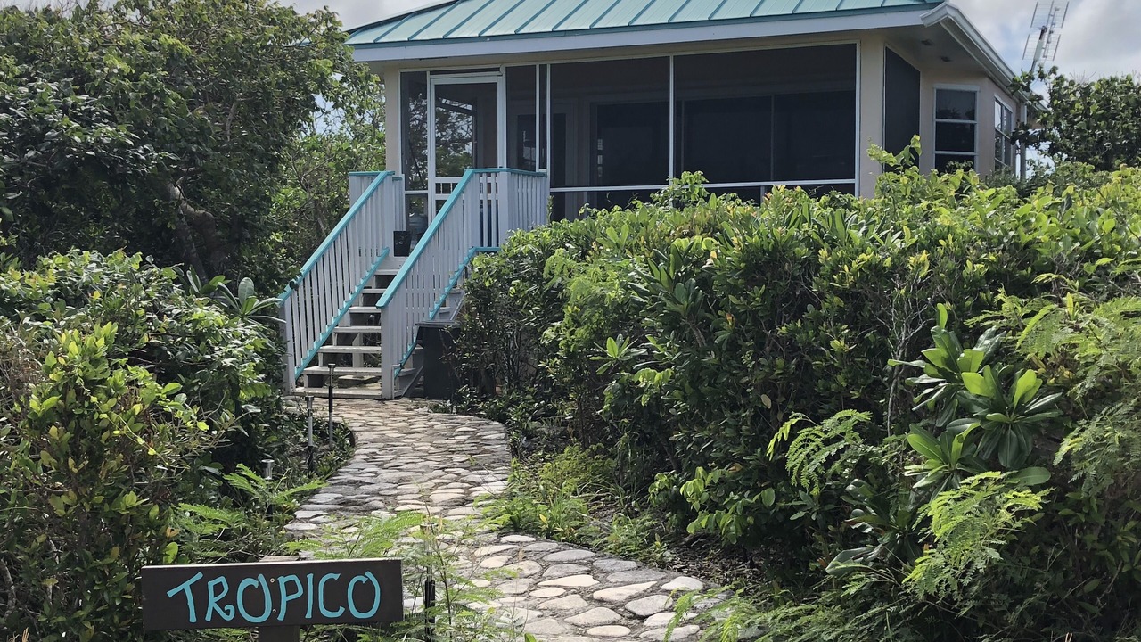 Photo of Outdoor in Conch Bar
