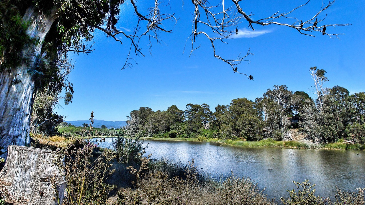 Photo of Outdoor in Eastside Santa Cruz