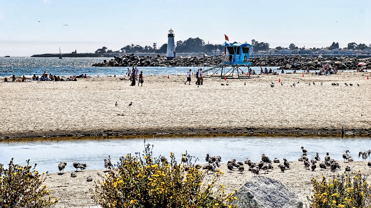 Photo of Others in Eastside Santa Cruz
