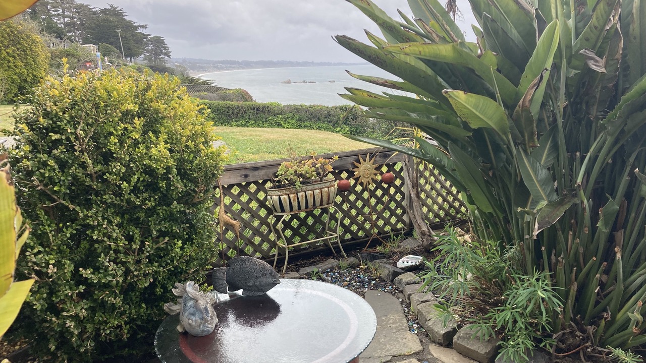 Photo of Others in Aptos
