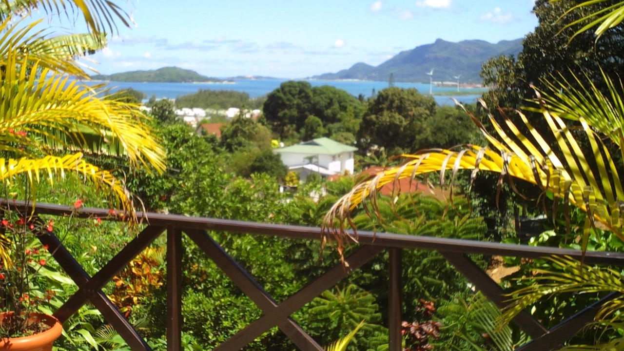 Photo of Outdoor in Anse Etoile
