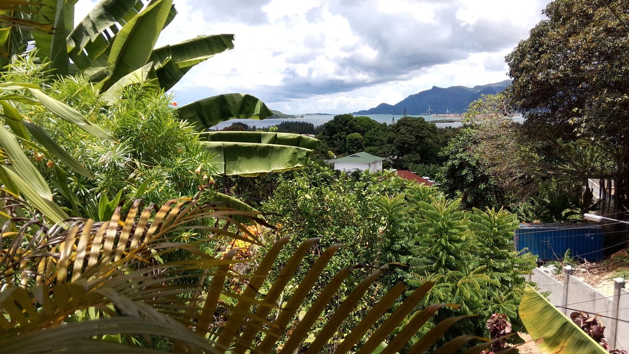Photo of Outdoor in Anse Etoile