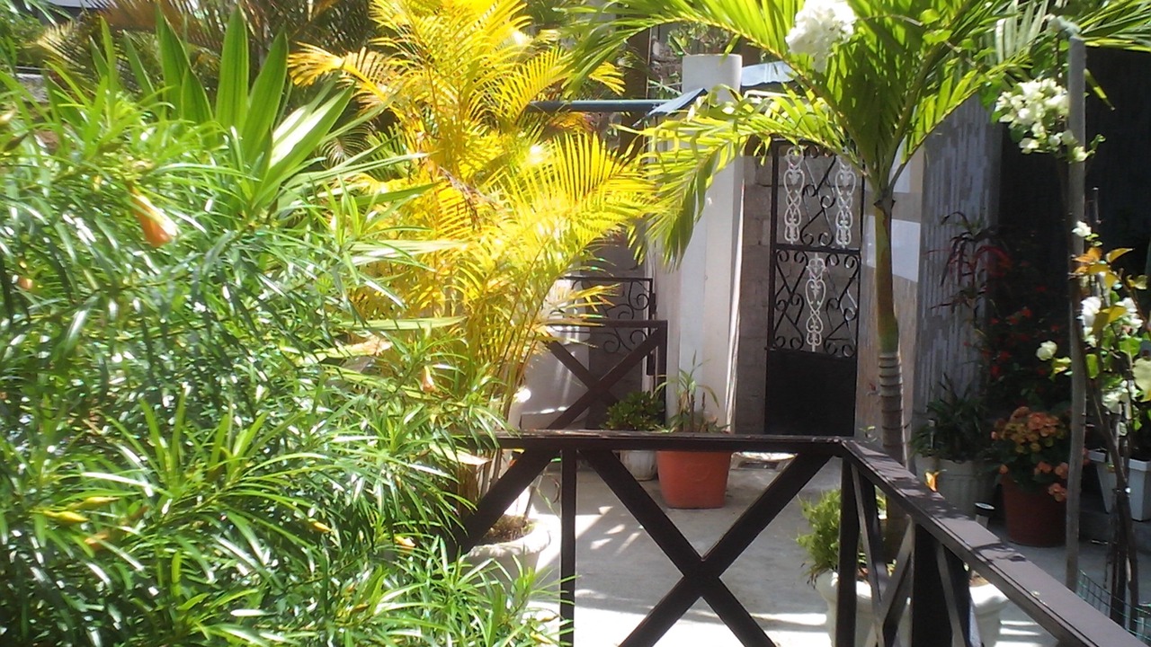 Photo of Outdoor in Anse Etoile