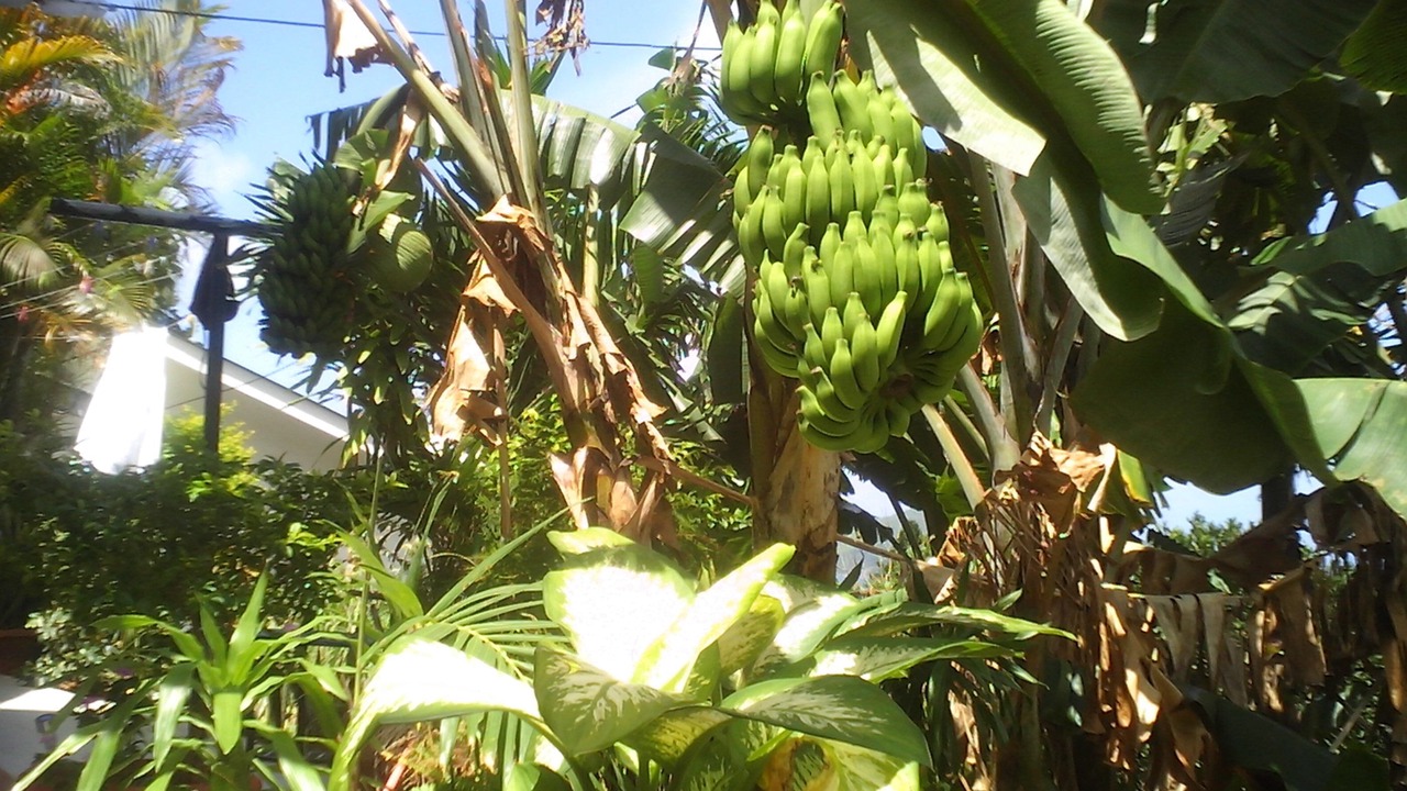 Photo of Outdoor in Anse Etoile