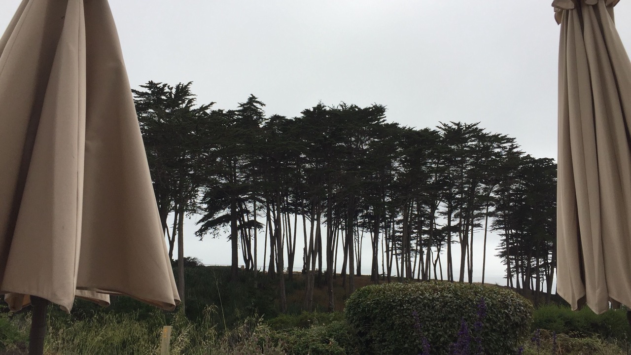 Photo of Others in Rio del Mar