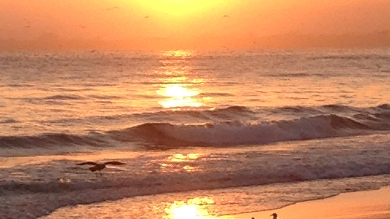 Photo of Others in Rio del Mar