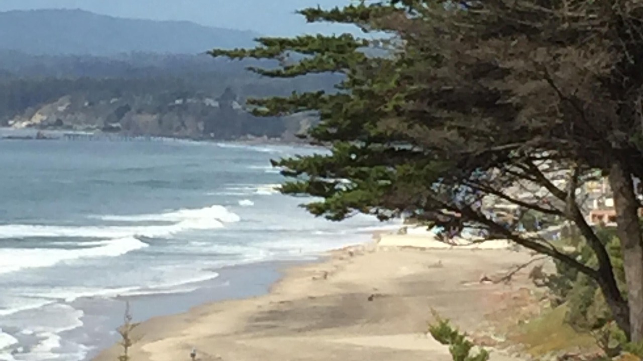Photo of Others in Rio del Mar