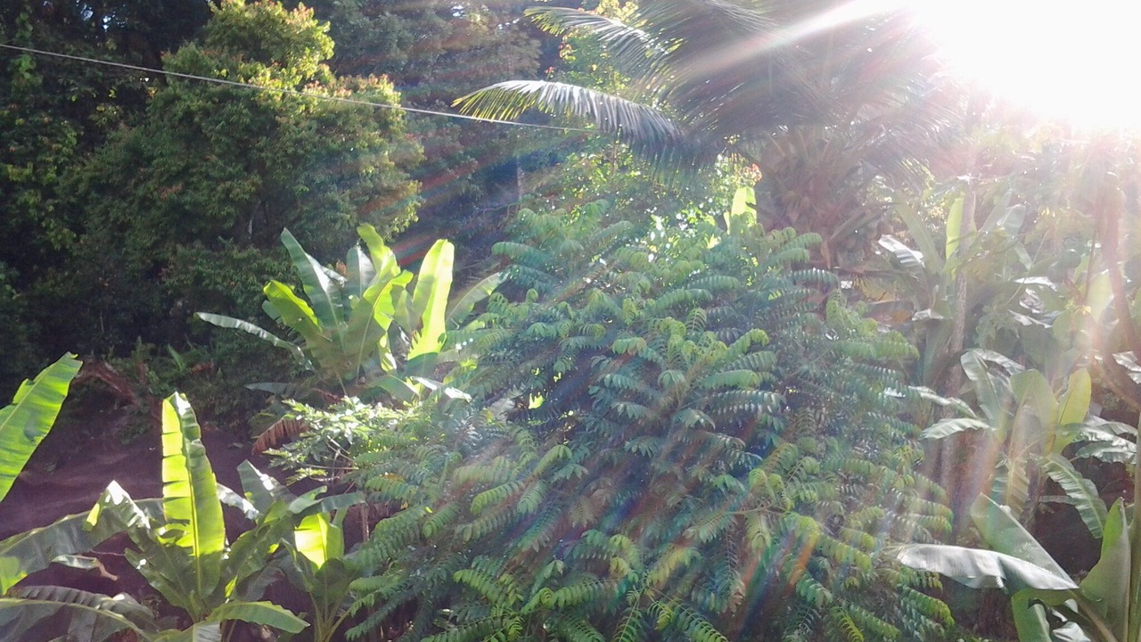 Photo of Outdoor in Mahe Island