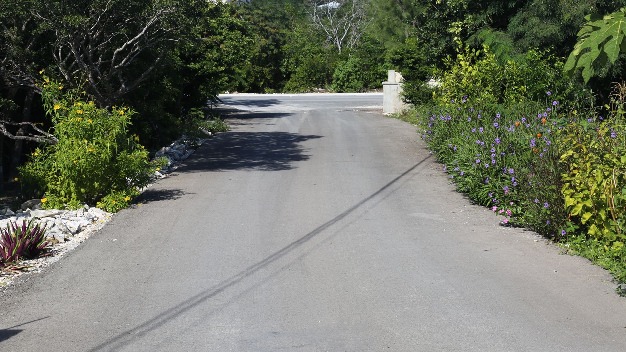 Photo of Outdoor in Discovery Bay