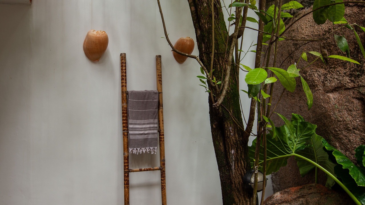 Photo of Outdoor in Praslin Island
