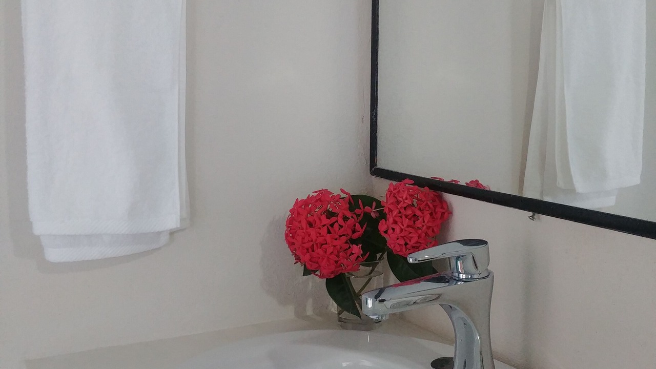 Photo of Bathroom in Chiquila