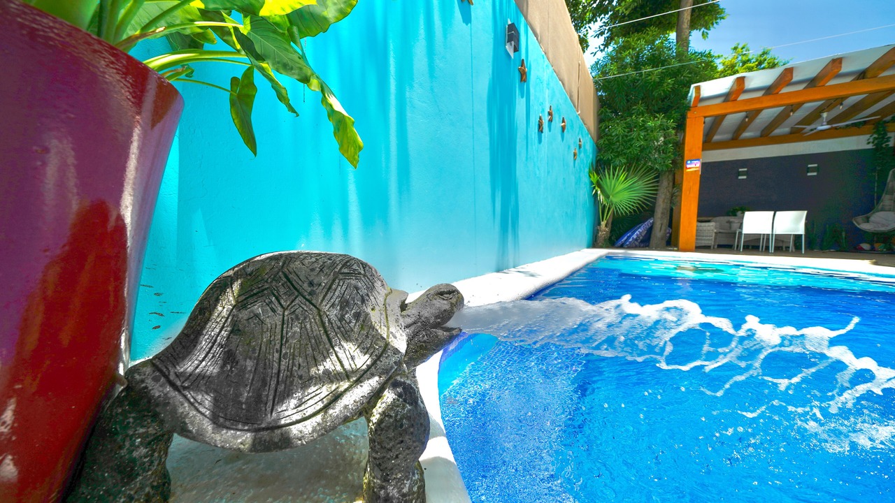 Photo of Outdoor in Downtown Cancun
